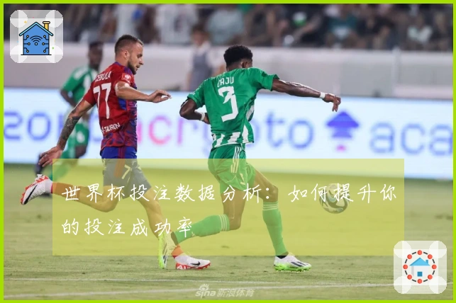 世界杯投注数据分析：如何提升你的投注成功率