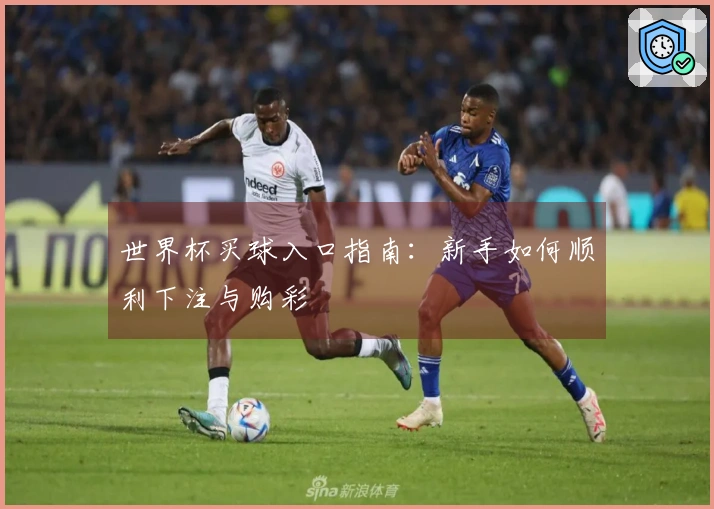 世界杯买球入口指南：新手如何顺利下注与购彩