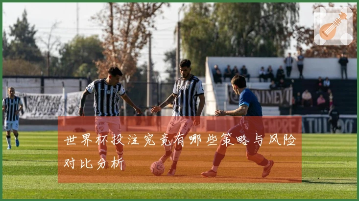 世界杯投注究竟有哪些策略与风险对比分析