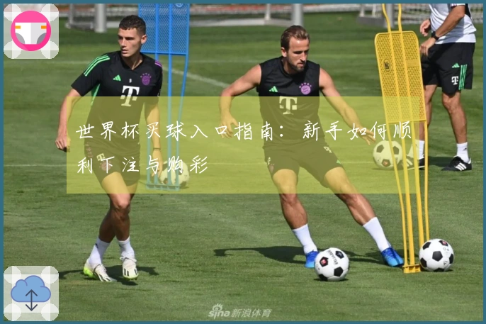 世界杯买球入口指南：新手如何顺利下注与购彩